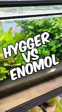 Hygger Vs Enomol - Aquarium Python Style Water Change Systems!