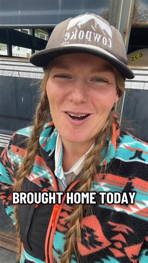 Three are papered weanlings and paid into future fortune Sun Frost on the papers. Proven 1D siblings. $4500 each. One grade yearling $2500 all colts. dm for more info | Deb Trippler