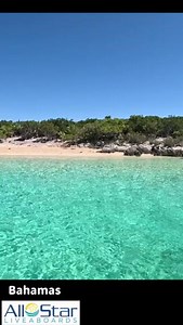 5.7K views · 234 reactions | All Star Liveaboard trips are so much more than just diving! (the diving is great too, though) 錄 ~The Bahamas #allstarliveaboards #aquacat #kayak #paddleboard #adventure #bahamas #caribbean #scuba #liveaboard #buceo #bahamasdiving #diverlife #ilovediving #oceans #divinglife #divetrip #myhappyplace #bestvacations #bestdayever #cantwaittogoback | All Star Liveaboards | Facebook