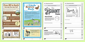 Year 1 Reading Assessment Term 2