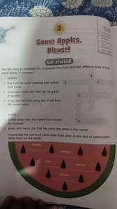 3Some Apples.Please!Get started!NCF SeatProblem-soApplica... | Filo