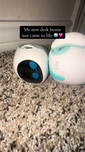 Interact with Eilik: The Emotional Robot Experience