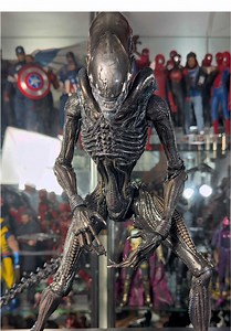 Hot Toys scorched Xenomorph ASMR close-up showcase