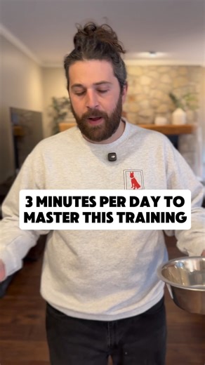 Vinnie Somma on Instagram: "Want a dog that’s more patient and has better impulse control? Try this session for 3 minutes every day. I recommend doing this with only a few treats or kibbles in the bowl at a time. This is a silent exercise, you don’t have to repeat your commands, simply be patient and wait. You’ll get to a point where you accidentally forget to tell your dog break or free, and come back 15 minutes later to a dog filled with drool, and you will feel so bad and proud at the same ti