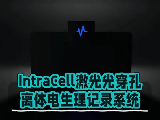 光穿孔＋MEA的离体电生理研究新招？| IntraCell