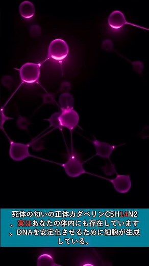 【なぜ】食べ物が腐る全過程｜分子レベルで見た崩壊のタイムライン #Shorts