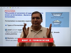 Fermentation Class 8 Science | Definition, Process & Activity | NCERT Chapter 2 | Microorganisms