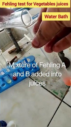 Vegetable Juice analysis|Tomato Cucumber Carrot| Class12Chemistry project| Test of Carbohydrates