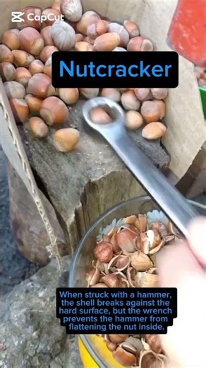 Revolutionary Wrench Method for Effortless Hazelnut Shelling