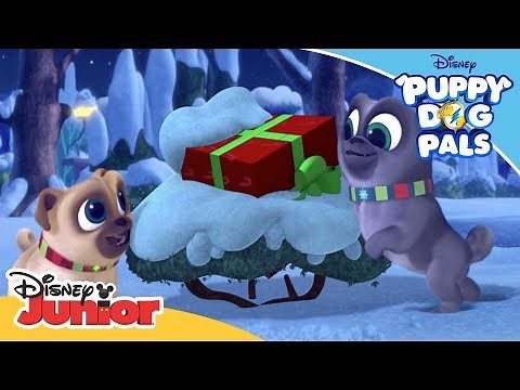 A Very Pug Christmas 🎄| Puppy Dog Pals | Disney Channel Africa