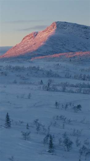 We live for rides that send our hearts through our chests. #WeAreLynx #Lynx #LynxTribe #LynxSnowmobiles #winter #snowmobiles #sleds | Lynx Snowmobiles