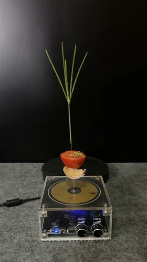 Tesla Coil Experiment