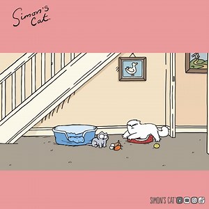 Get a Kitten they said...it will be fun they said! | Simon's Cat
