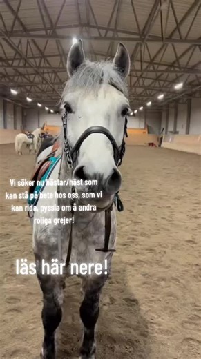 bara ni kan köra hit! kan va hus långt bort som helst, bor i ånge kommun!!!!! inte min video! info kan tas privat adda min snap redbull.lover22 #alex #höst #sommarbete #fypppp #xyzabc