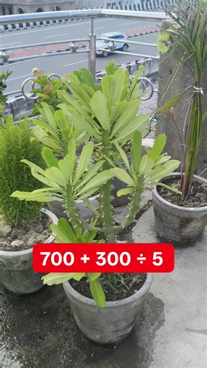 Solve it Mat Test #fbli#fblifestyle | Learn And Solve