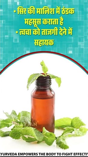 Peppermint Oil Benefits: Cool Scalp & Refreshed Skin