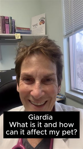 Dr. Karen Wheeler | Giardia is a microscopic parasite that infects a dog’s intestines. It’s a common cause of diarrhea, especially in puppies and young dogs.... | Instagram