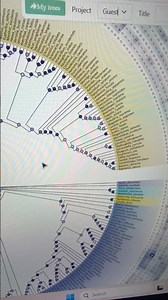 Circular phylogenetic tree with heatmap