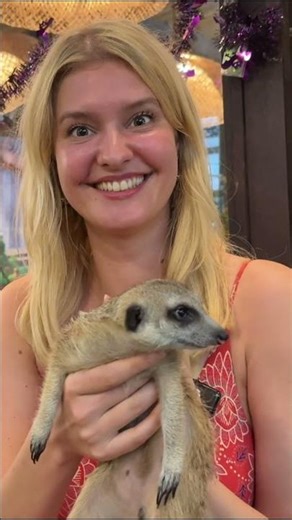 Meeting Timon & Capybara 😍