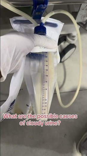 Why is the Urine Cloudy?