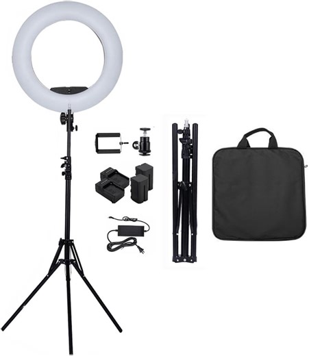 12" Dimmable Bi-Color LED Light Ring FS-390II Kit with Mini Table Stand, Carrying Bag, Photo Holder for Portrait Selfie YouTube Photo Video Studio Photography Lighting