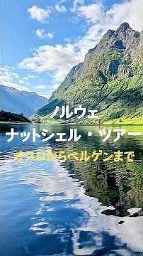 Norway in a Nutshell Tour (Oslo to Bergen)