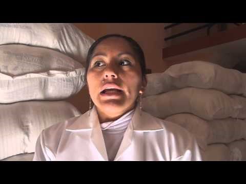 PROGRAMA DE VASO DE LECHE