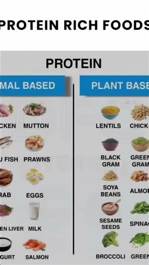 Protein Rich Foods.