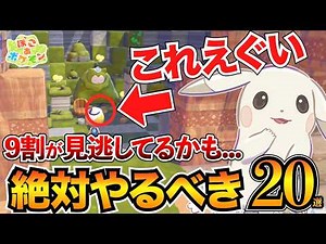 [Pokoa Pokemon Guide] I wish I'd known this sooner! 20 tips and tricks that will definitely be us...