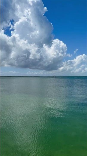 Perfect Day in Cayman