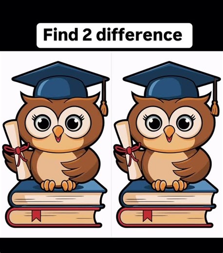 Spot the difference on Instagram: "🎓🦉 Spot the difference challenge! Can you find all the changes between these two adorable graduate owls? 🦉📜 Look closely at their hats, scrolls, and books — only the sharpest eyes will spot them all! 👀✨ Challenge your friends and family to see who can find them the fastest. 🕵️‍♂️💡 Think you’ve got them all? Drop your answers in the comments below! 💬👇 #SpotTheDifference #BrainTeaser #VisualPuzzle #OwlChallenge #MindGames #FindTheDifference #PuzzleLovers