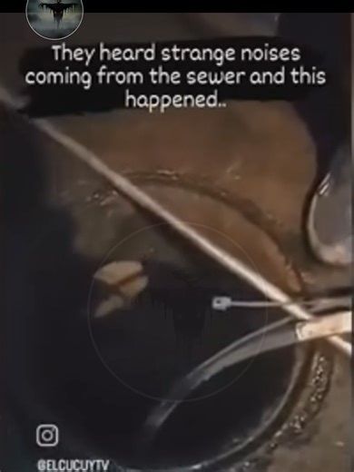 Sewer Monster Caught on Camera: Real Ghosts or Hoax?