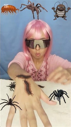 Vacuum vs Spider & Cockroach 🕷️🪳 | Will It Suck Them In?#shorts