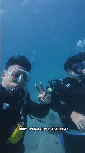 Going Diving With The DJI Osmo Action 4 #DJI #OsmoAction4