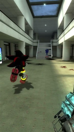 Who's cracked? #sonic #silverthehedgehog #funny #gmod #shadow