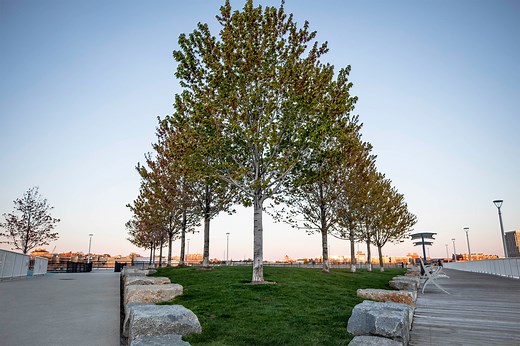 3 takes on dealing with uncertainty — Harvard Gazette