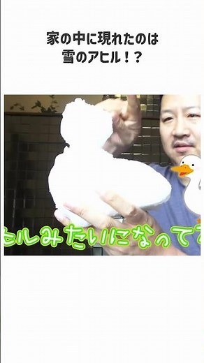 Ma-chan and Oo-chan's Trivia @ @ #MaChanOoChan #himawariChannel #himawariChannel #trivia #shorts