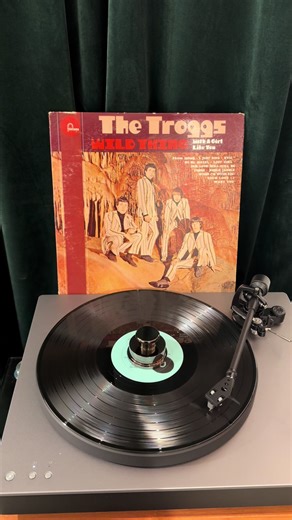 The Raw Power of 'Wild Thing' by The Troggs
