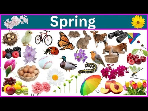 125 Must Know Spring Season Vocabulary Words!