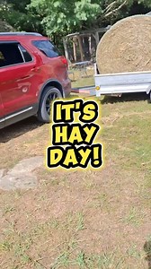 It's Hay Day! 😎👍 First time buying the large round bales. 🤔 #Hay #farmlife #goatlife #goats | Lorne Rogers