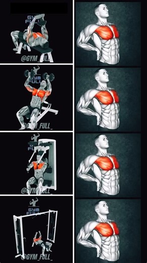 How To Chest Workout #chestworkout #chestday #chestpress #chest #bodybuilding #upperbodyworkout #gym