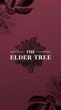 The Elder Tree: A Plant of Saturn 🪐