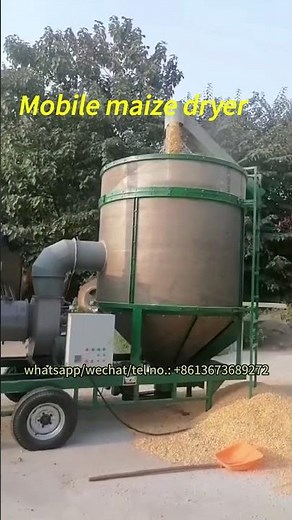 Efficient corn drying at the farm with mobile grain dryer! #mazie #drying #grain #agriculture