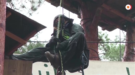 3.3K views · 36 reactions | Protesters opposed to Tesla's expansion of its plant near Berlin were holding out in treehouses as German police climbed up ladders and cut down rope structures in an attempt to clear their forested camp https://reut.rs/3CBqFzj | Reuters | Facebook