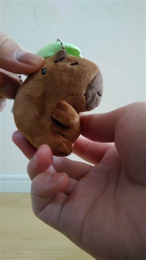 カピバラ浴場ぬいぐるみ