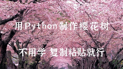 【附源码】超简单的python樱花树代码来咯！小白也能轻松驾驭！