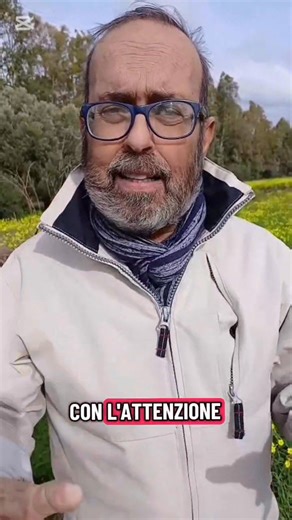 🩺🧬Una vita con il FAVISMO tra limitazioni di terapie antidolorifiche e paura di morire. Ascoltate bene... @inprimopiano #favismo #fave #ricercascientifica #ricercasulfavismo #prontosoccorso #medicina #Antidolorifico #rischioletale #rischiomortale #sardegna | Luca Gentile