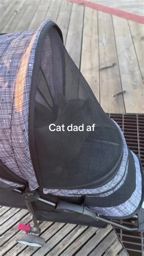 LIBBY (@libbyfarmerr)’s videos with My Daddy