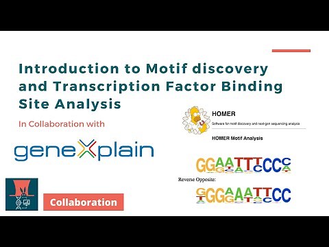 Introduction to Motif Discovery and Transcription Factor Binding Site Analysis