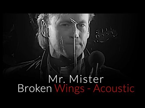 Mr Mister - Broken Wings - Acoustic 2024